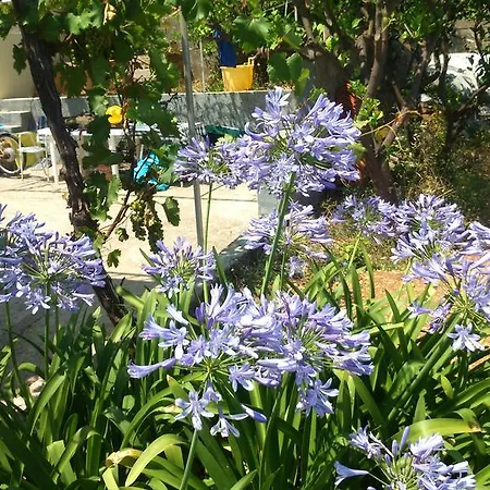 Casa de Férias Smokvica Viganj