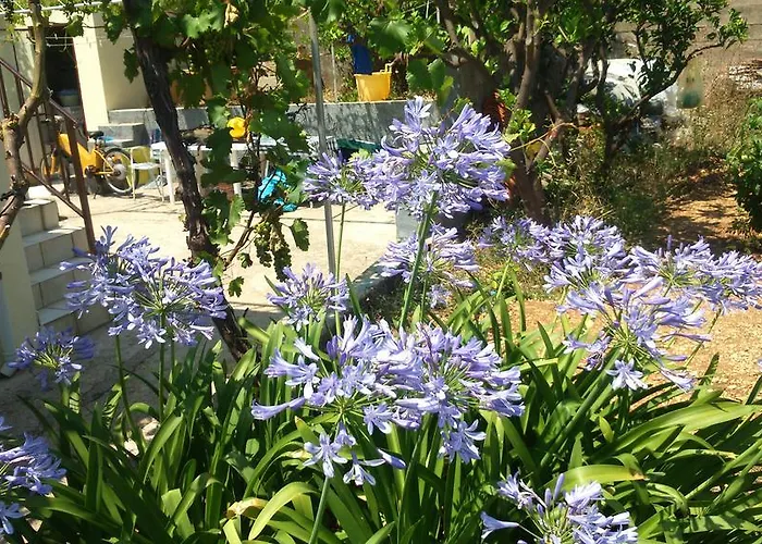 Casa de Férias Smokvica Viganj